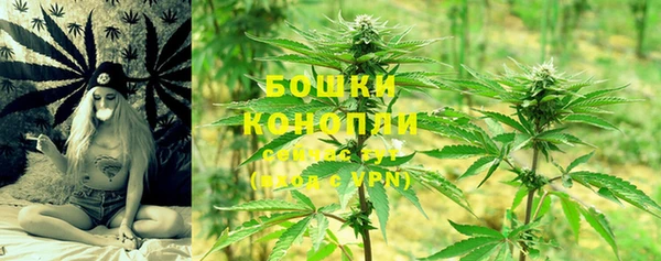 амф Козловка