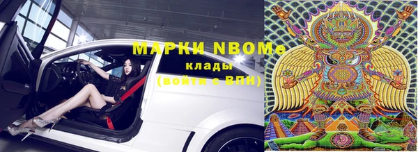 амф Козловка