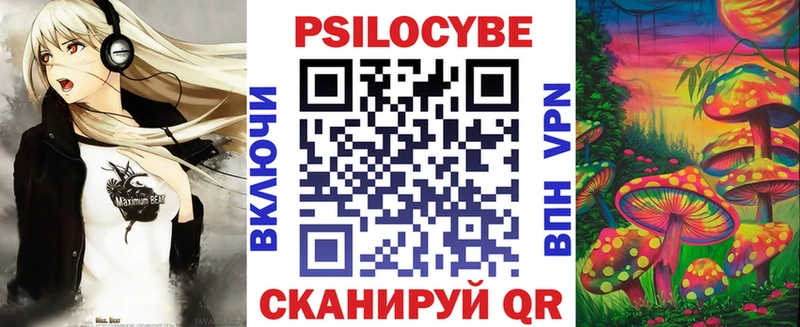 Купить где  Белокуриха  Псилоцибиновые грибы мицелий 